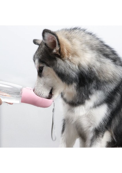 Taşınabilir Evcil Hayvan Suluğu Seyahat Kabı Kilitlenebilen Su Sızdırmaz Kap 350 ml (4172) fırsatları