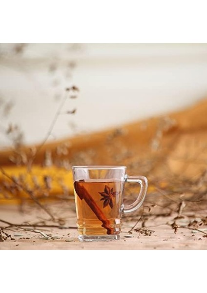 Elegan 6&apos;lı Fincan fiyatları