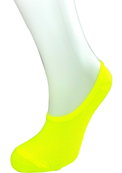 12 Adet Canlı Renk Kadın Spor Babet Çorap