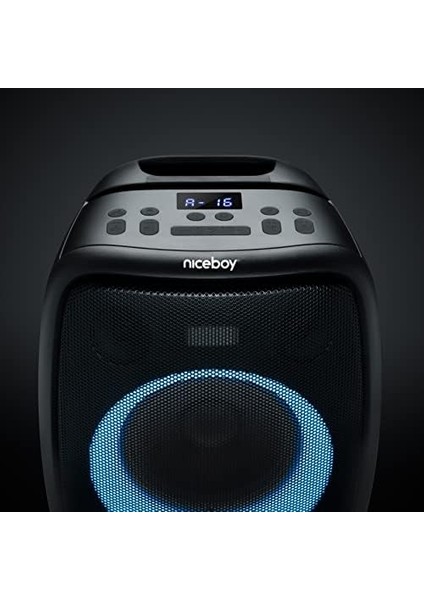 Party Boy 2 100W Kablosuz Mikrofonlu Ipx4 Taşınabilir Parti Hoparlörü modelleri