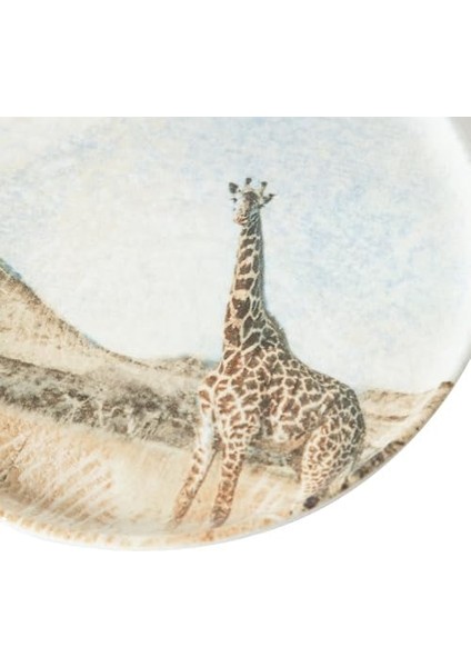 Concept Pasta Tabağı 20CM - fiyatları