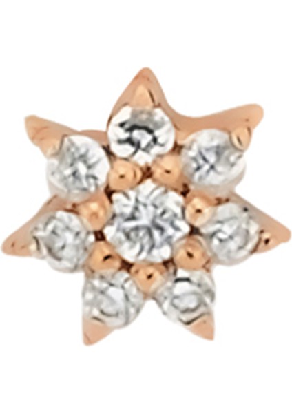 Venüs Star Kadın Tekli Full Pırlanta Altın Küpe