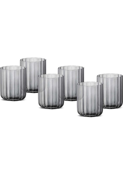 Foggy Grey 6&apos;lı Su Bardağı