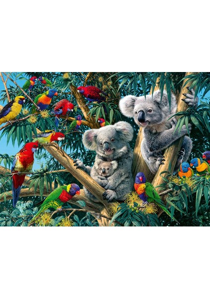 500P Puzzle Koalalar, Yapboz