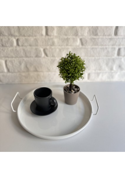 Mini Metal Beyaz Sunumluk Servis Tepsisi