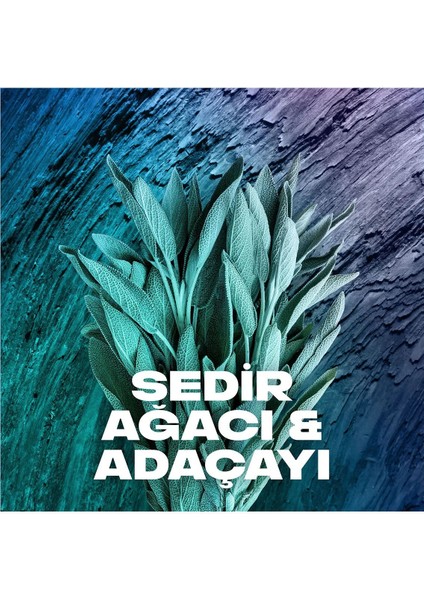 3 Adet Axe Erkek Sprey Deodorant Apollo 48 Saat Etkileyici Koku Vücut Spreyi 150 ml modelleri