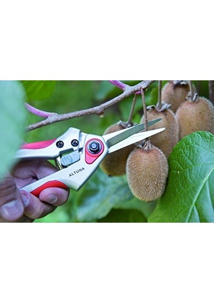 J440 Makas Baumschere Bir Düz Hand 21 Cm. Ref. J fiyatları