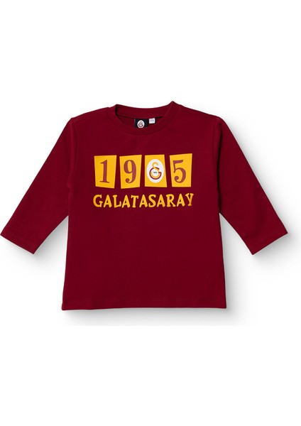 Unisex Sweatshirt Iki Iplik Bisiklet Yaka Uzun Kol