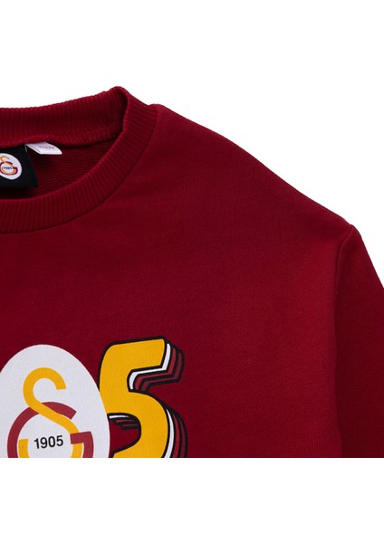 Unisex Sweatshirt Iki Iplik Bisiklet Yaka Uzun Kol modelleri