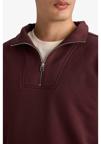 Regular Fit Yarım Balıkçı Yaka Fermuarlı Kalın Sweatshirt F4136AX25AU indirimleri