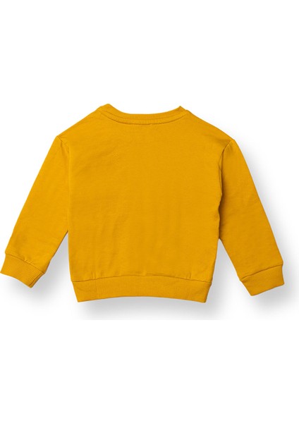 Erkek Bebek Sweatshirt Şardonlu Iki Iplik Bisiklet Yaka Uzun Kol fiyatları