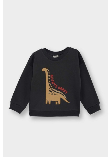 Erkek Bebek Bisiklet Yaka Dinozor Baskılı İçi Yumuşak Tüylü Sweatshirt E9230A525AU