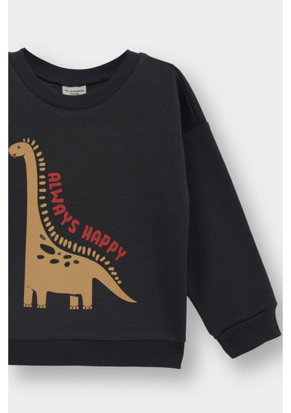 Erkek Bebek Bisiklet Yaka Dinozor Baskılı İçi Yumuşak Tüylü Sweatshirt E9230A525AU fiyatları