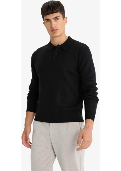 Standart Fit Polo Yaka Triko Kazak F1523AX25AU modelleri