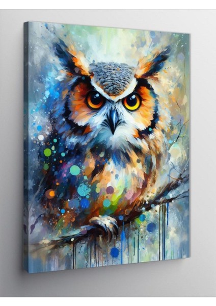 Kanvas Tablo Renkli Baykuş 100 x 140 CNVSDKEY-126377-100-140