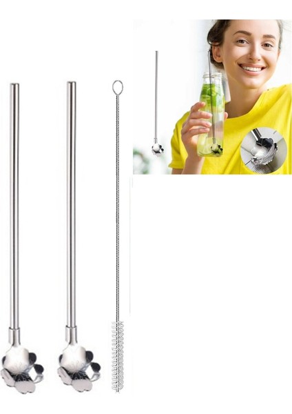 Paslanmaz Metal 2 Li Kaşıklı Pipet Fırça Seti