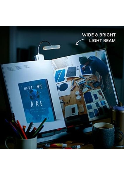 The Kitap Okuma Lambası Mor modelleri