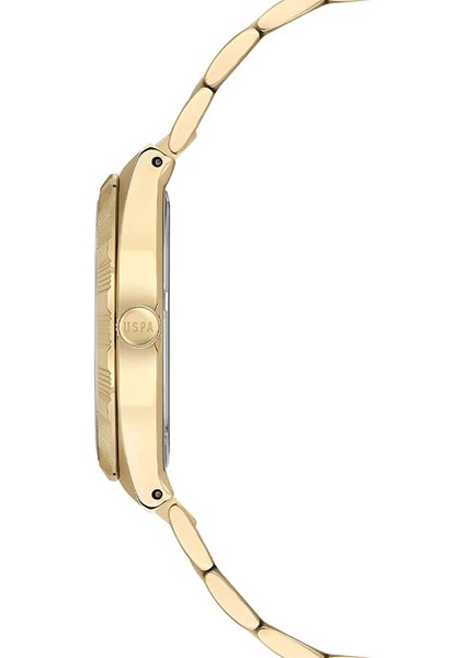 USPA2126-04 Kadın Kol Saati fiyatları