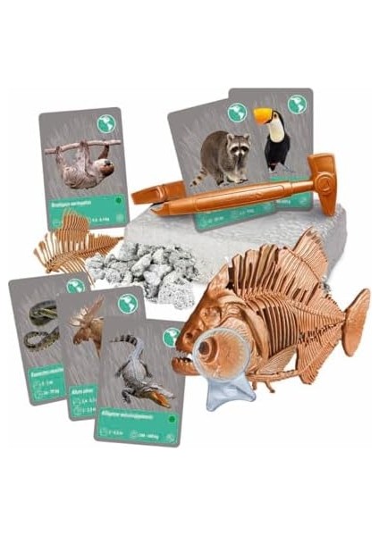 Bilim ve Oyun Dünyadaki Hayvanların Tarihi fiyatları