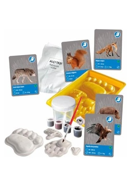 Bilim ve Oyun Dünyadaki Hayvanların Tarihi modelleri