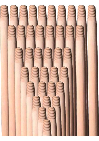 Cilasız Gürgen Sap Ekstra 120 cm 1 Adet ROYALEKS-297