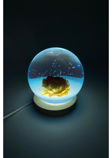 Küçük Turuncu Çiçekli Yuvarlak Epoksi Gece Lambası, Sıcak ve Şık Dekorasyon Parçası fiyatları