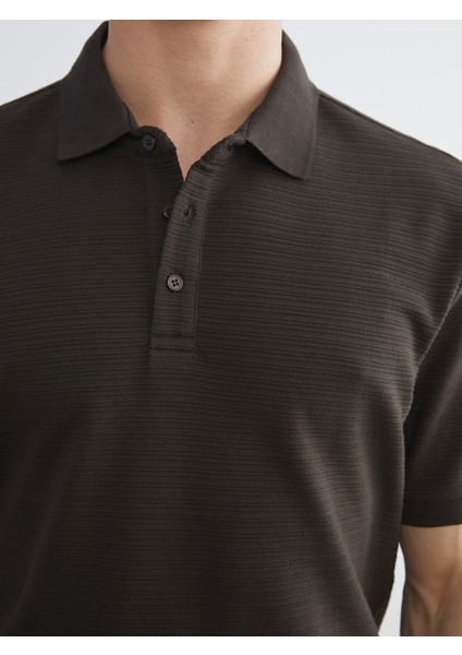 Yeni Sezon Polo Yaka Erkek Tişört modelleri