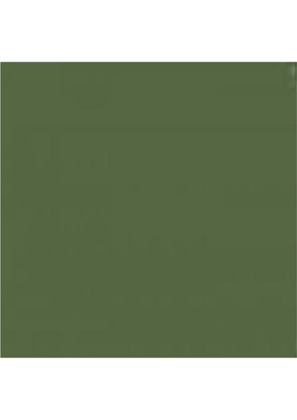 Models Rus Koyu Zeytin Solmuş 1 Fs 34096, MIOMMP030