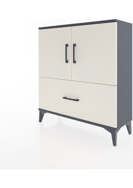Arges Şifonyer 2 Raflı Tek Çekmeceli 2 Kapaklı 88X30X96 Antrasit-Aytaşı modelleri