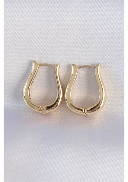 Pirinç Gold Renk Içi Boş Gül Küpe - TJ-BKP8976