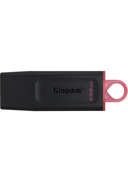 Kingston 256GB Usb3.2 Gen1 Datatraveler Exodia (Black + Pink)