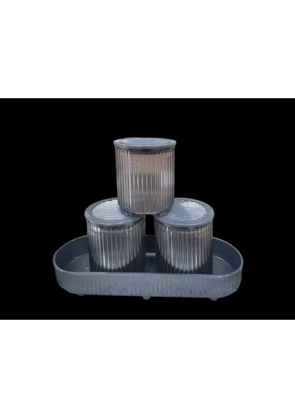 Salta 4 Parça Büyük Mutfak Baharat Seti ROYALEKS-EMN3120