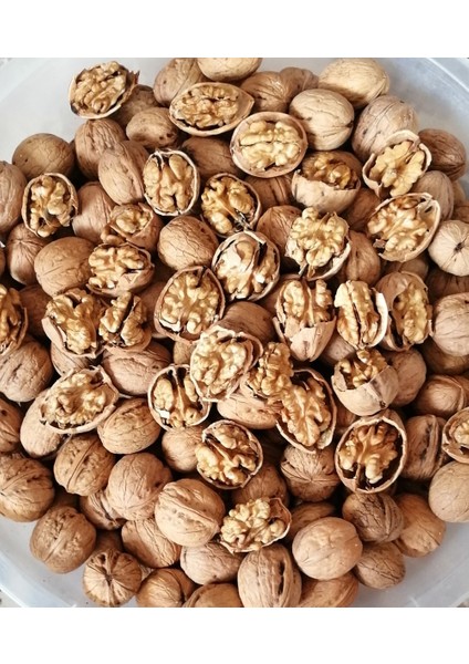 Organik Kabuklu Ceviz 1 kg