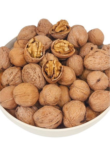 Organik Kabuklu Ceviz 1 kg fiyatları