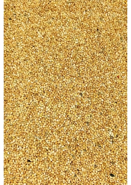 Muhabbet ve Tüm Egzotik Kuşlar Için Doğal Taze Tane Sarı Darı - 500 gr modelleri