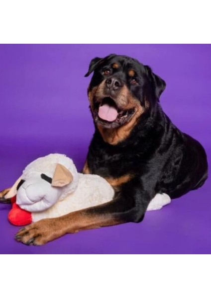 Lambchop Kuzu Peluş Köpek Oyuncağı Medium - Orta Boy Yatan Kuzu Peluş Sarılma Arkadaşı! fiyatları
