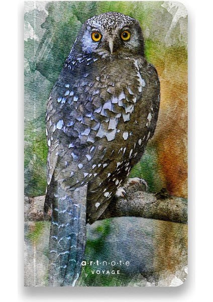 Voyage, Çizgisiz Seyahat Not Defteri, Karton Kapak, 12X21 cm Dikey, 128 Sayfa