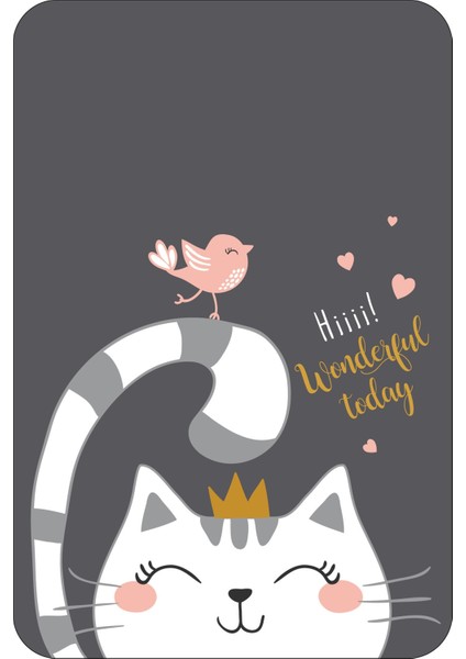 Şık Gri Banyo Halısı ve Klozet Takımı 2'li Paspas Seti 60X90CM ve 60X60CM fiyatları