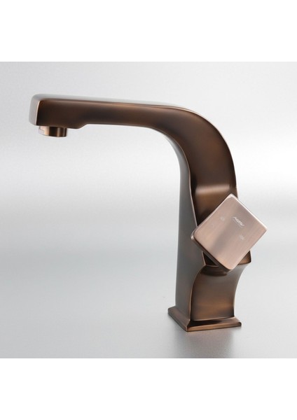 Bronz Lavabo Bataryası Estetik Tasarım, Uzun Ömürlü Zarif Dayanıklı Paslanmaz Metal Banyo Musluğu