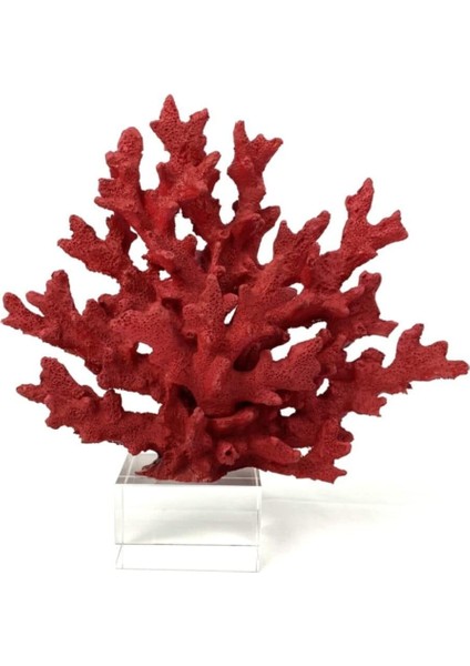 Kristal Kaideli Dekoratif Mercan Obje