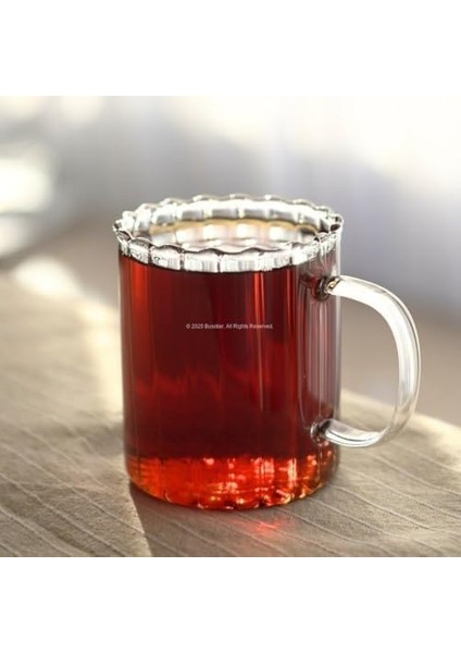 Şerit Desenli Borosilikat Cam 2’li Set 350 ml Dayanıklı Kulplu Cam Kupa, Kahve ve Çay Sunum Bardağı, Şeffaf Modern Tasarım fiyatları