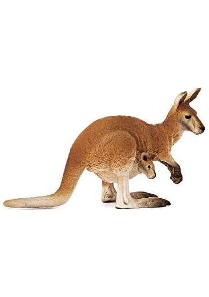 14756 – Okuyan Kanguru, Çok Renkli fiyatları