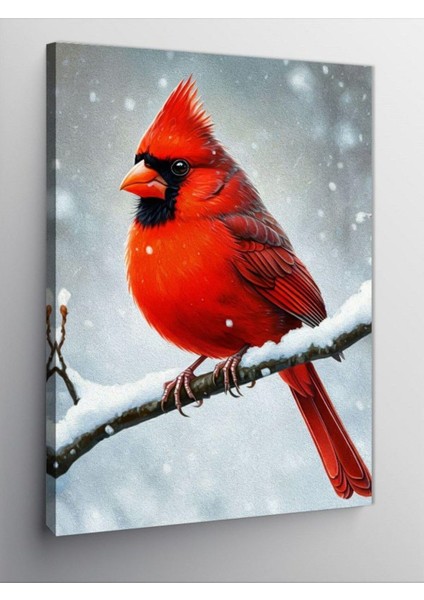 Kanvas Tablo Kış Kardinali Kuşu 70 x 100 CNVSDKEY-126332-70-100
