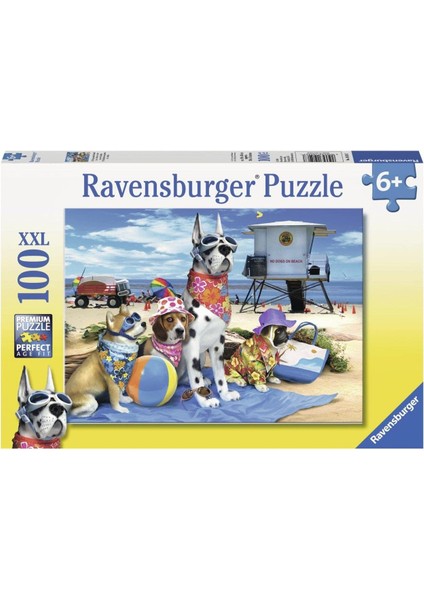 S100P Puz Köpek Çetesi, Çok Renkli