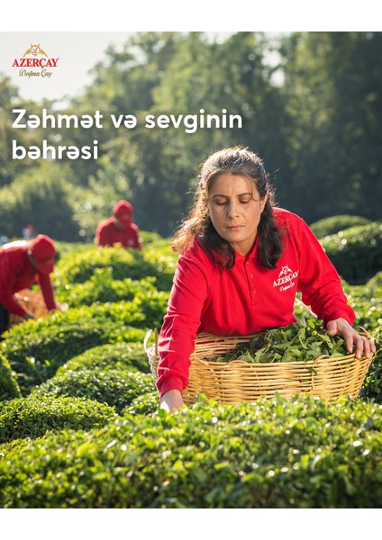 Azerbaycan Çayı Azerçay 450 indirimleri