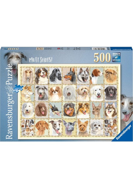 500 Parçalı Puzzle, Shots