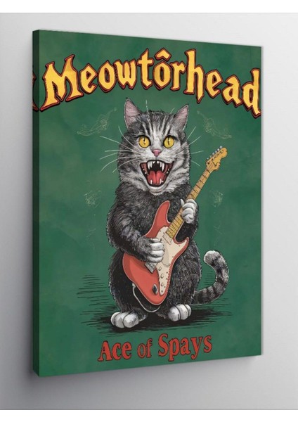 Kanvas Tablo Rockçı Kedi 70 x 100 CNVSDKEY-126304-70-100