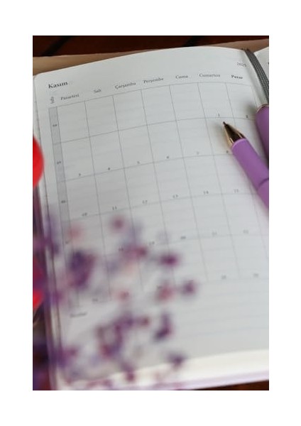 2025 Haftalık Ajanda 13X21 cm Sert Kapak Ivory 70GR. modelleri