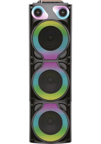 10W 6000 Mah Ledli Taşınabilir Hoparlör BTS-340