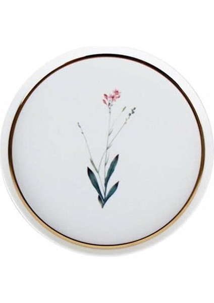 Desen4 21 cm Düz Tabak, Çok Renkli